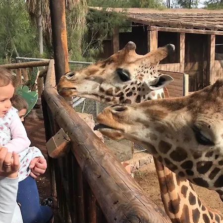 شقة Casa Ucraniana Wi-fi Fibra