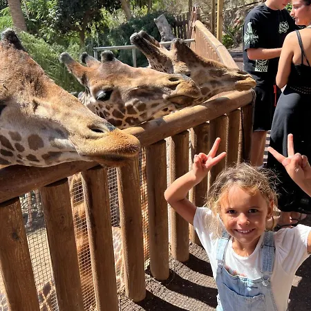 Casa Ucraniana Wi-fi Fibra 科斯塔卡玛