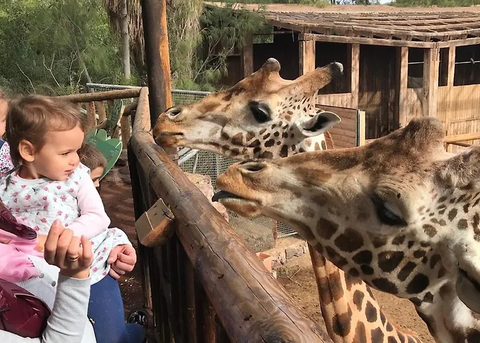 Appartement Casa Ucraniana Wi-fi Fibra